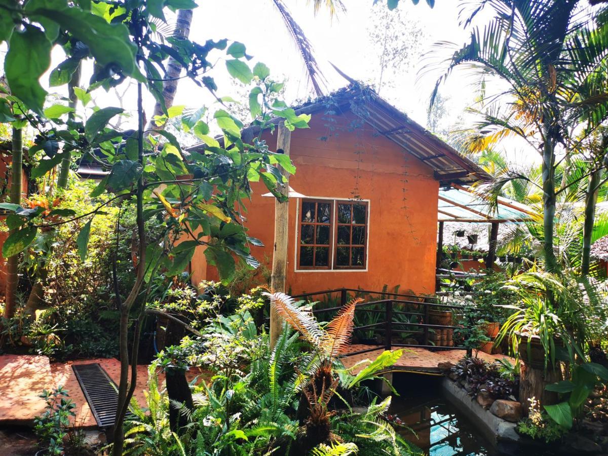 บ้านดินโฮมสเตย์ ปางอุ๋ง Ban Huai Makhuea Som Екстер'єр фото