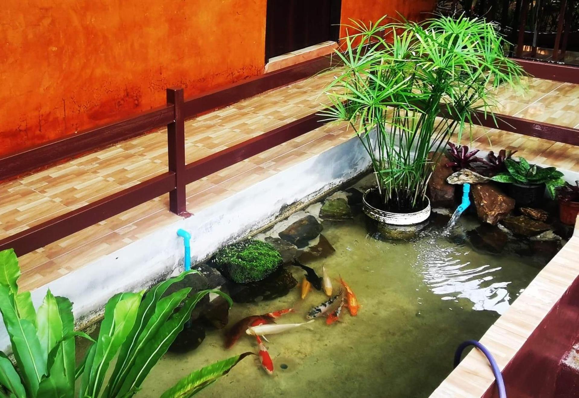 บ้านดินโฮมสเตย์ ปางอุ๋ง Ban Huai Makhuea Som Екстер'єр фото