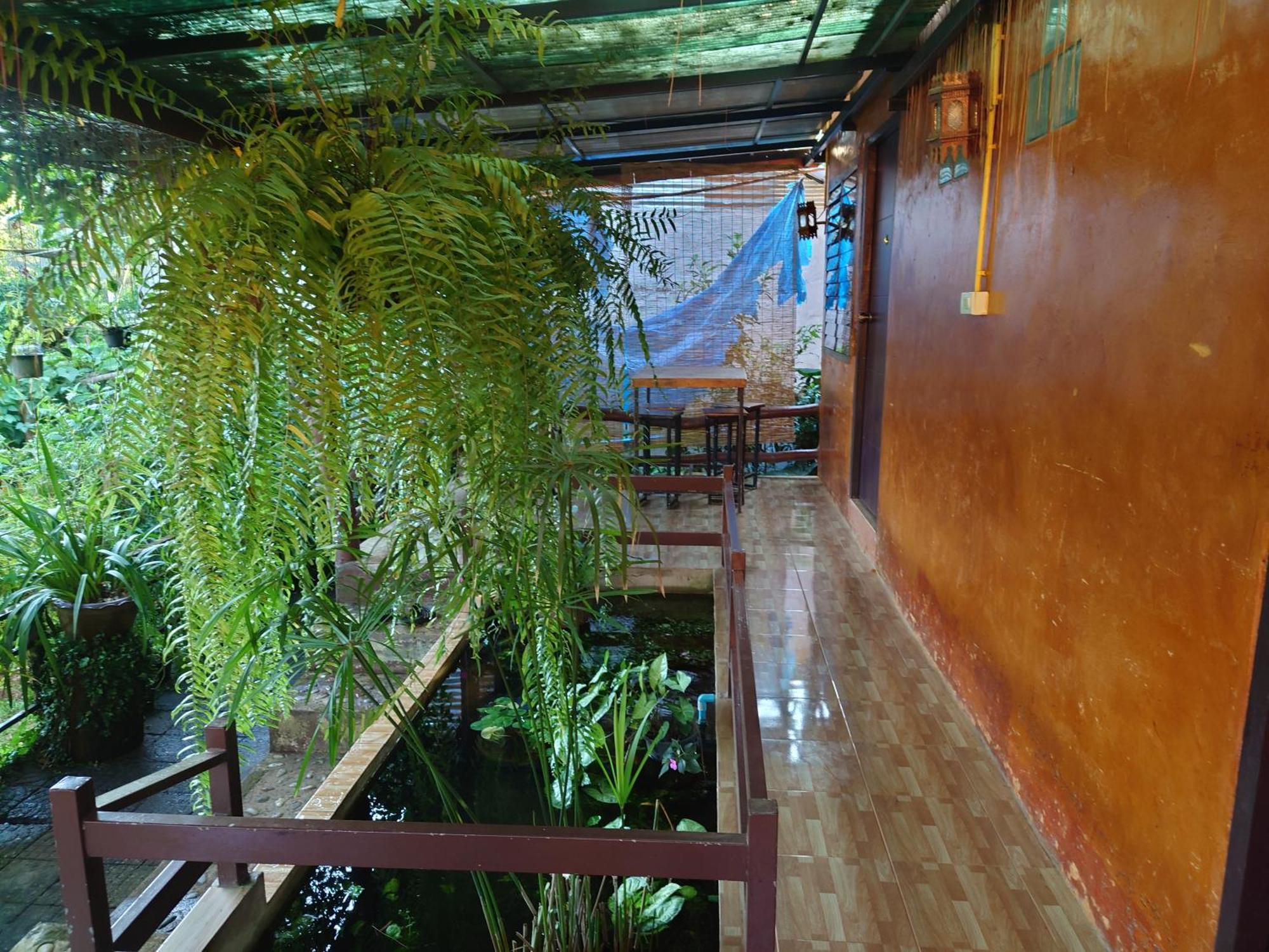 บ้านดินโฮมสเตย์ ปางอุ๋ง Ban Huai Makhuea Som Екстер'єр фото